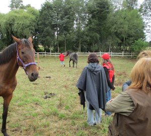 Taller niños 2016 - Aprendiendo con Caballos Equspatagonia Cabalgatas Temuco, caballos
