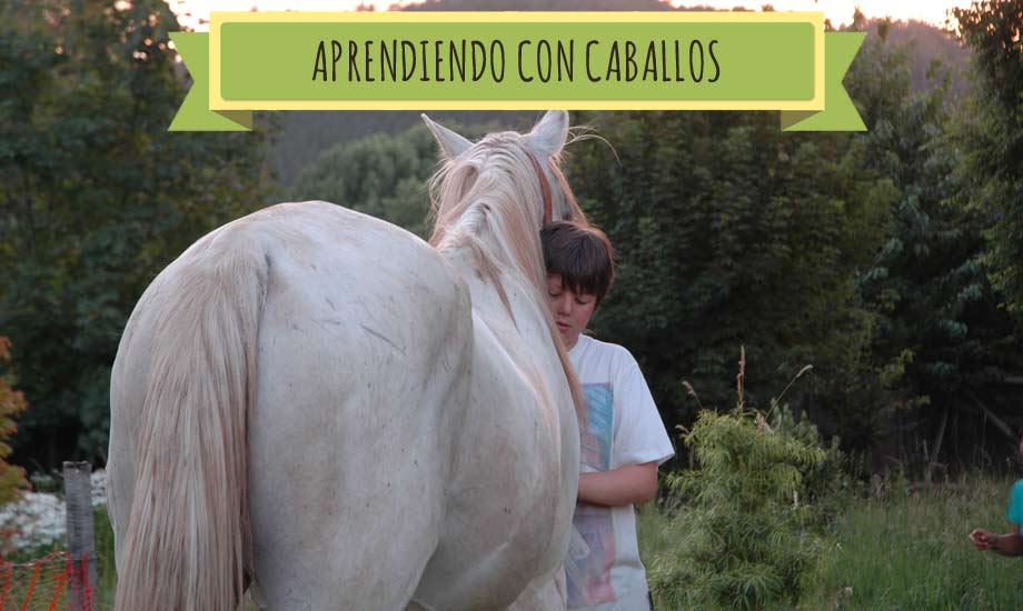 Taller niños 2016 - Aprendiendo con Caballos Equspatagonia Cabalgatas Temuco, caballos